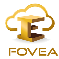 Ifovea Cloud