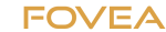 iFovea cloud VMS and AI video analytics platform logo